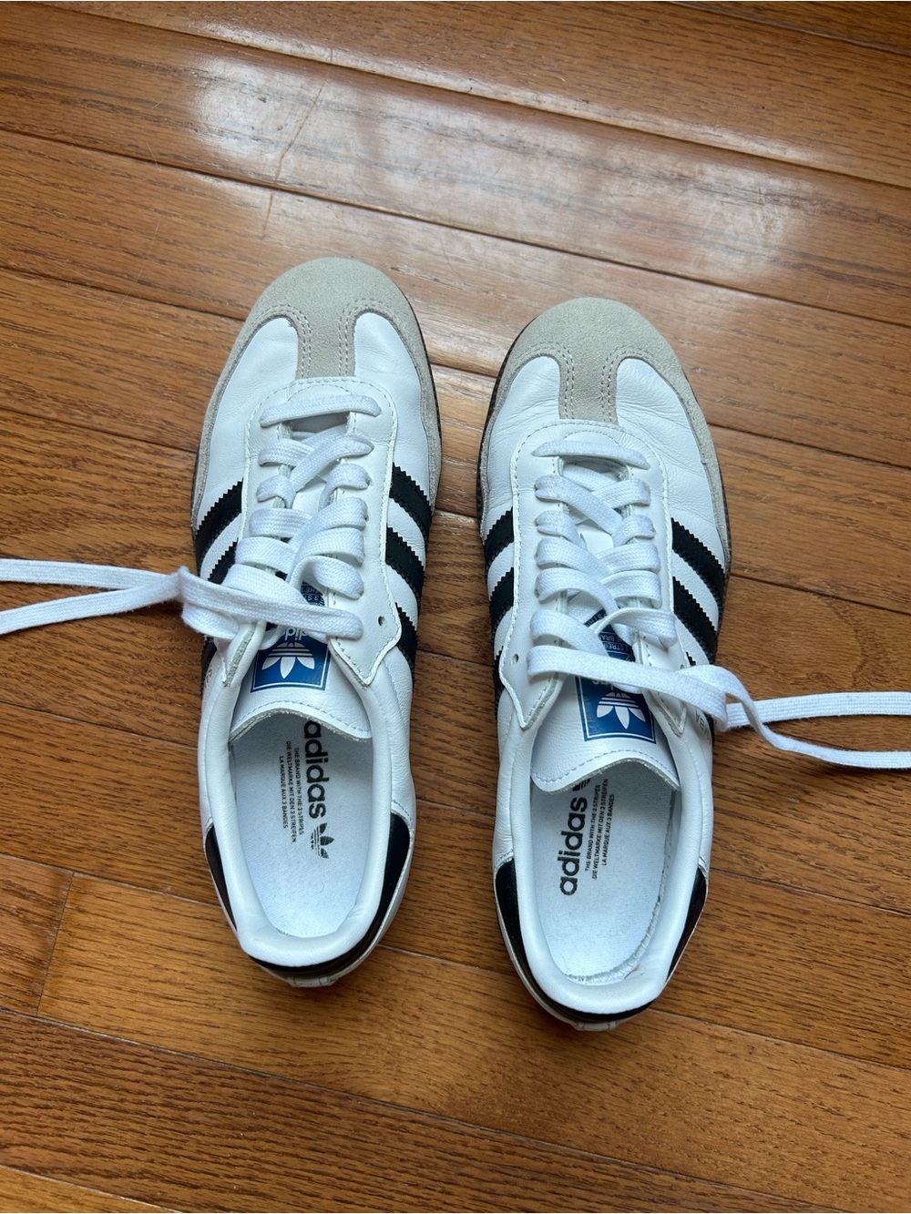 Adidas Samba Black & White Samba Classic Sneakers